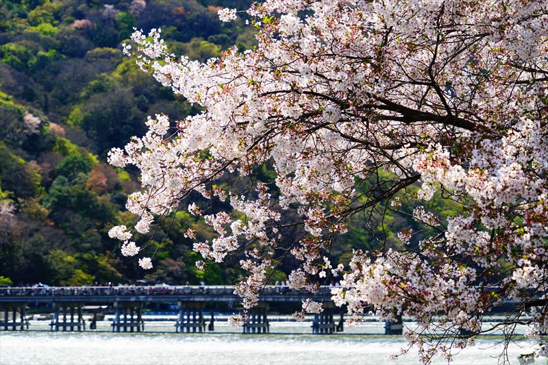 1057_洛南 渡月橋_京都