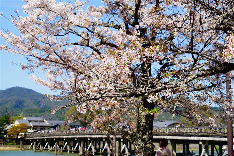 1060_洛南 渡月橋_京都