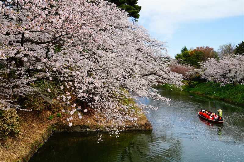 1177_弘前公園_青森