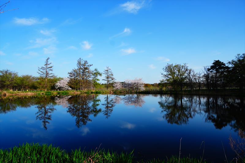 1202_浪岡湿生花園_青森