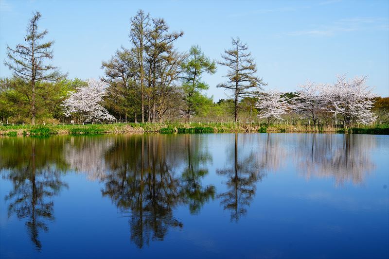 1204_浪岡湿生花園_青森