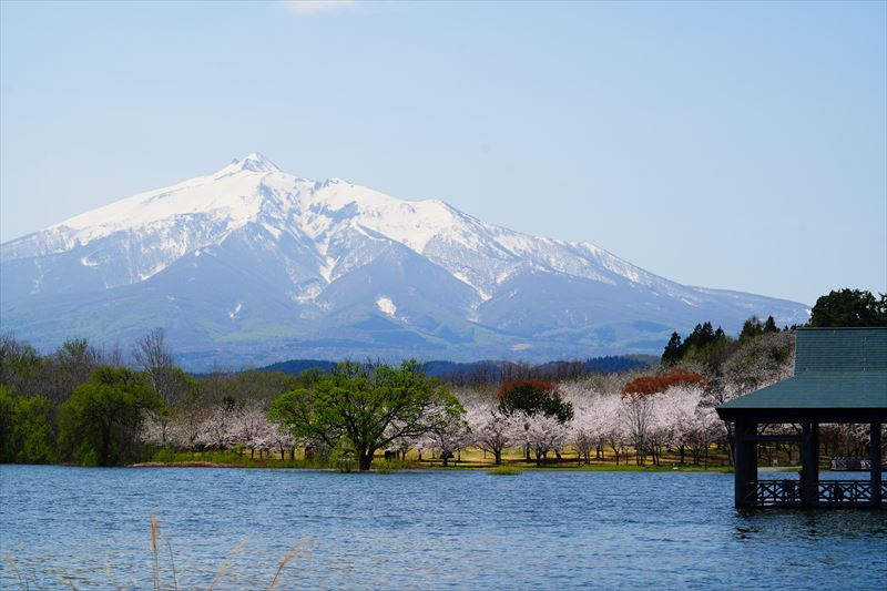 1161_鶴の舞橋_青森