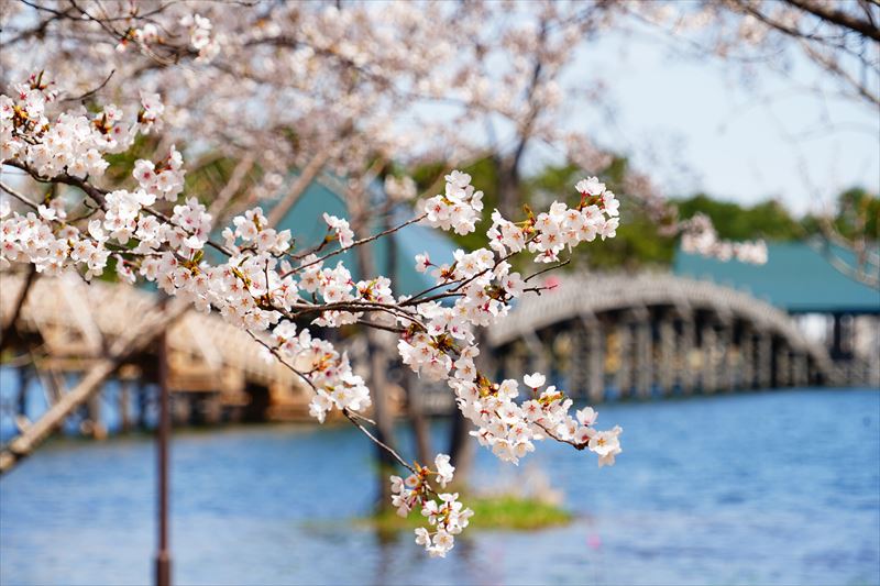 1167_鶴の舞橋_青森