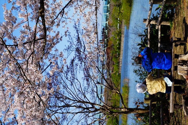 1207_芦野公園_青森