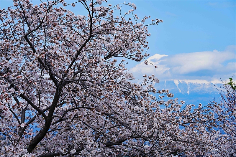 1022_富士市雁堤_静岡