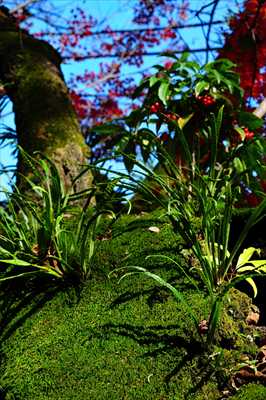 1002_修善寺_静岡