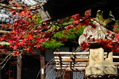 1004_修善寺_静岡