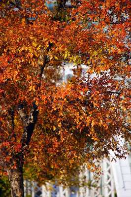 1011_汽車道_神奈川