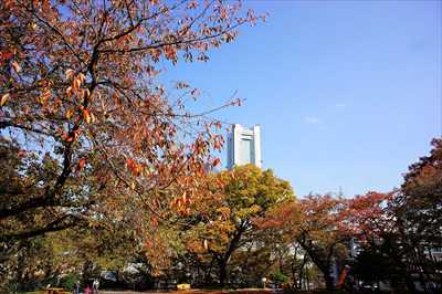 1054_掃部山公園_神奈川