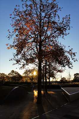 1005_ポートサイド公園_神奈川