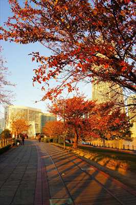 1018_汽車道_神奈川