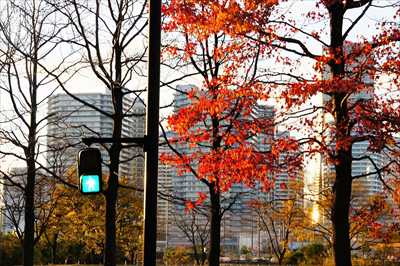 1007_ポートサイド公園_神奈川