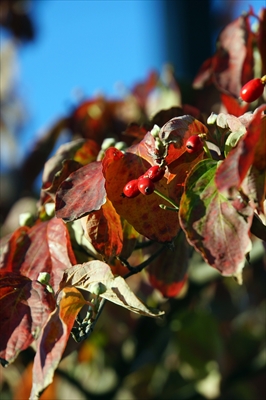 横浜市新羽町_神奈川