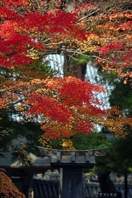 1066_瑞巌寺_宮城