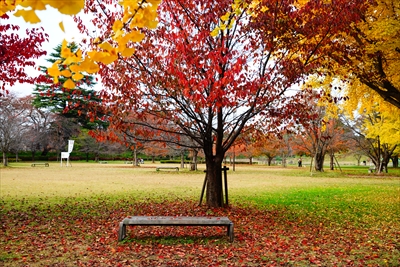 1031_霞城公園_山形