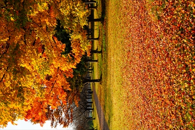 1034_西公園_山形