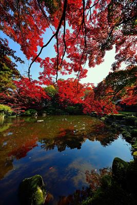 もみじ公園_山形