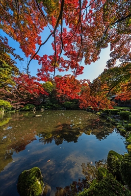 もみじ公園_山形