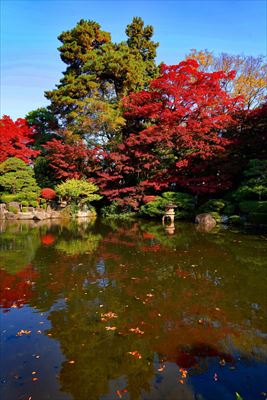 1039_もみじ公園_山形