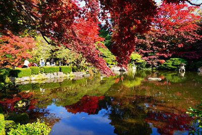 1040_もみじ公園_山形