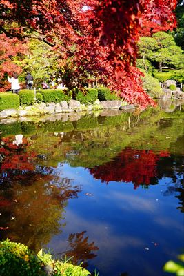 1041_もみじ公園_山形