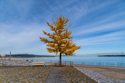 青い海公園_青森