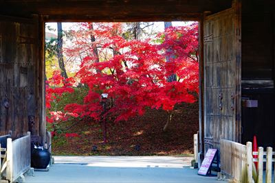 1010_弘前公園_青森