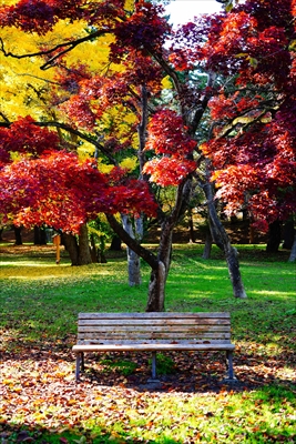 1015_弘前公園_青森