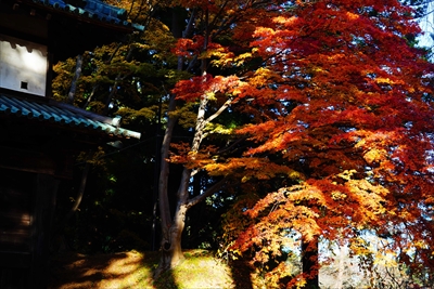 1020_弘前公園_青森