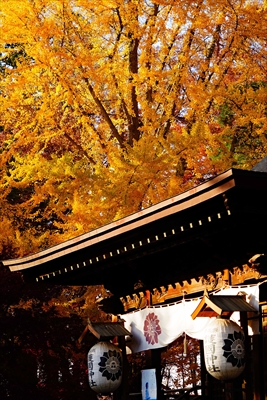 1029_青森縣護國神社_青森