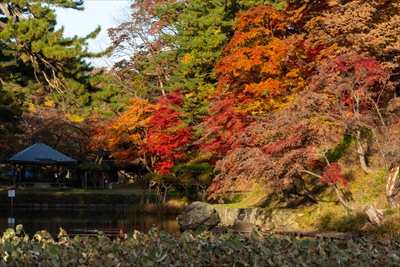 1028_弘前公園_青森