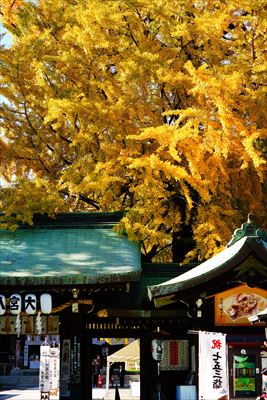 1045_杉並区大宮八幡宮_東京