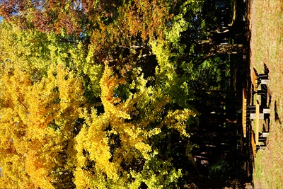 1047_杉並区都立和田掘公園_東京