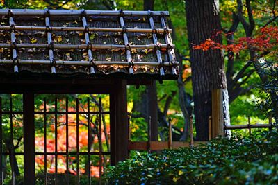 1048_杉並区太田黒公園_東京