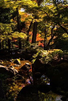 杉並区太田黒公園_東京