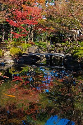 1051_杉並区太田黒公園_東京