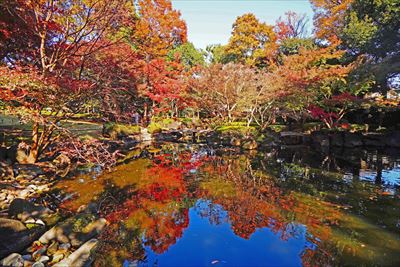 1052_杉並区太田黒公園_東京