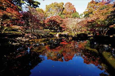 1053_杉並区太田黒公園_東京