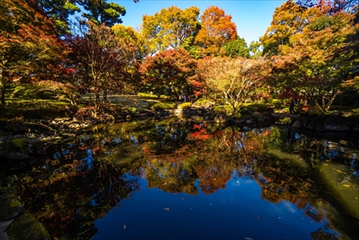 1053_杉並区太田黒公園_東京