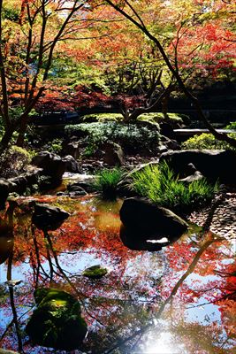 1055_杉並区太田黒公園_東京