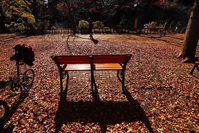 1056_杉並区井の頭恩賜公園_東京