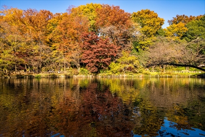 1057_杉並区井の頭恩賜公園_東京