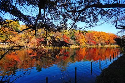 1058_杉並区井の頭恩賜公園_東京