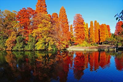 1062_杉並区井の頭恩賜公園_東京