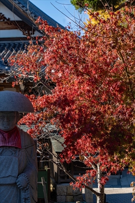 1122_神戸市須磨寺_兵庫