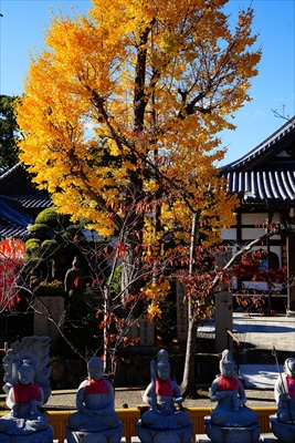 1124_神戸市須磨寺_兵庫