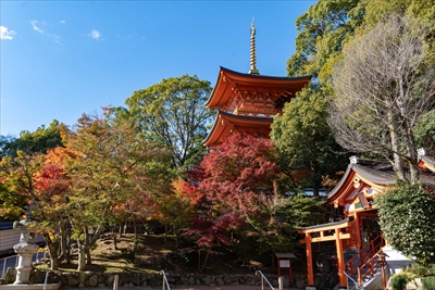 1125_神戸市須磨寺_兵庫