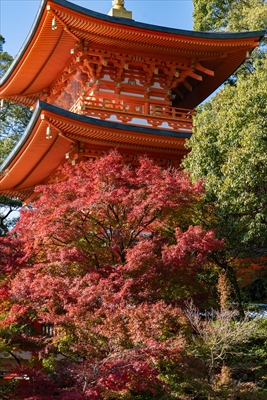 1126_神戸市須磨寺_兵庫