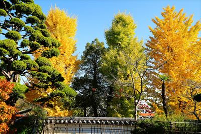 1134_神戸市須磨寺_兵庫