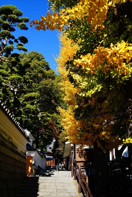 1135_神戸市須磨寺_兵庫